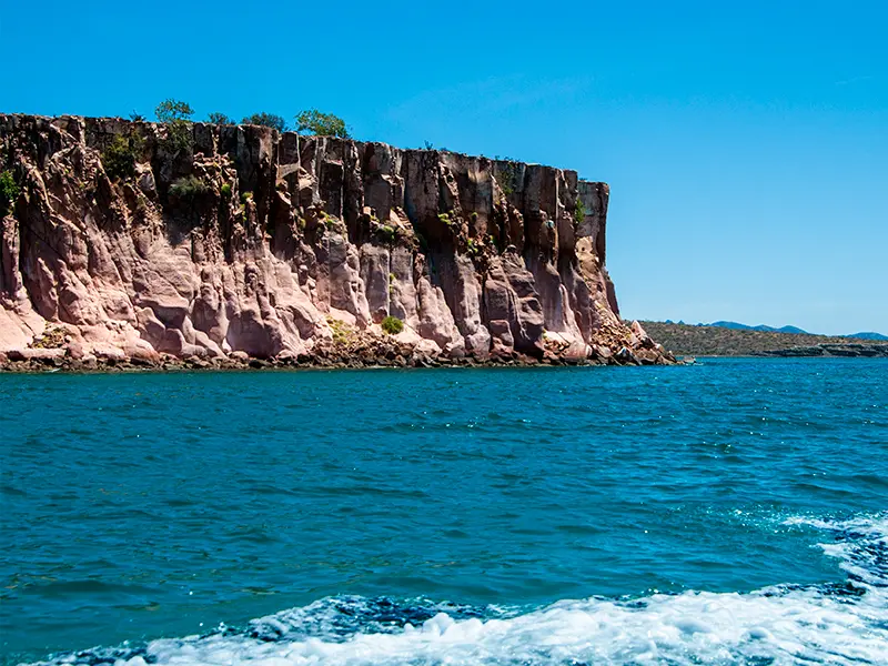 Tour Isla Espíritu Santo Colectivo baja vice