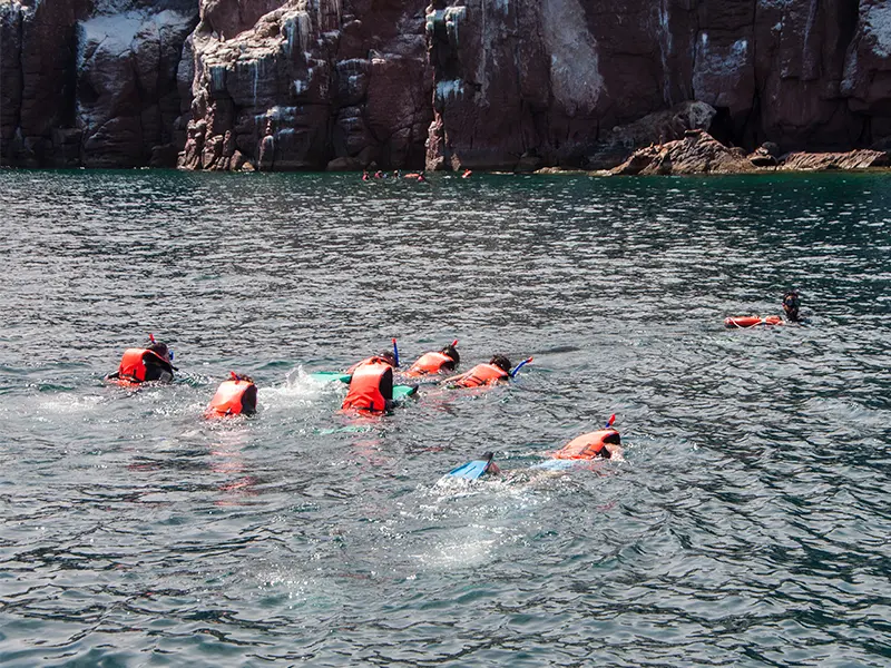 Tour Isla Espíritu Santo Colectivo baja vice