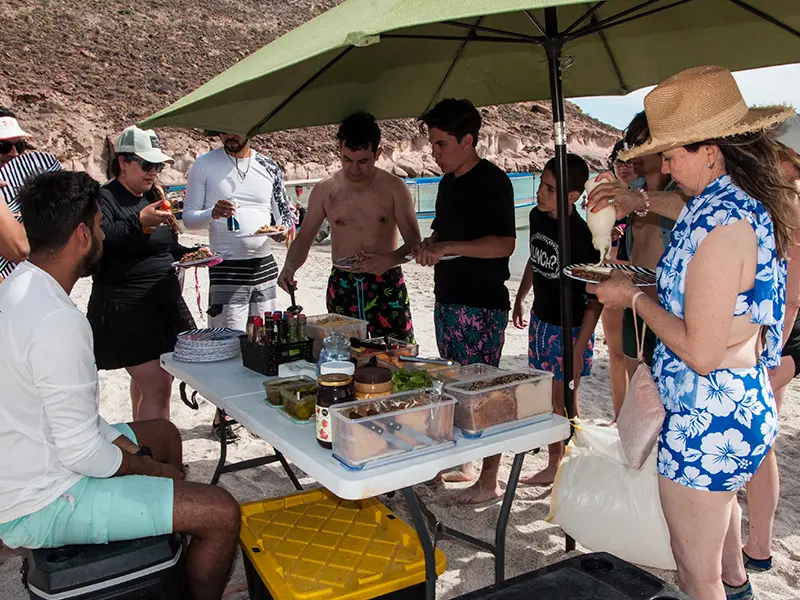 Tour Isla Espíritu Santo Colectivo baja vice