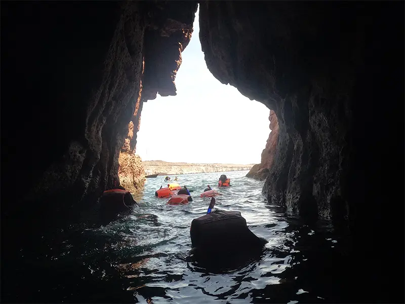 Tour Isla Espíritu Santo Colectivo baja vice