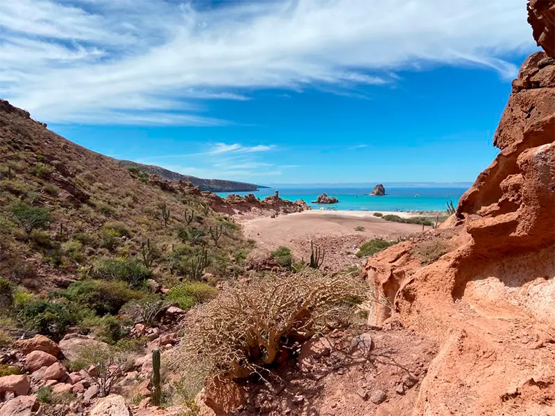 Tour Isla Espíritu Santo Colectivo baja vice