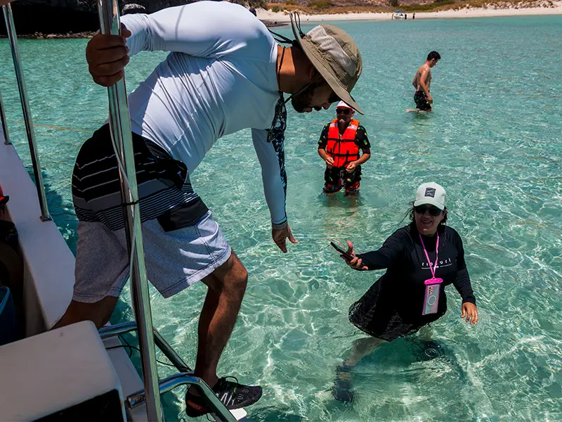 Tour Isla Espíritu Santo Colectivo baja vice