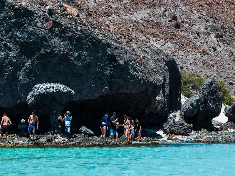 Tour Isla Espíritu Santo Colectivo baja vice