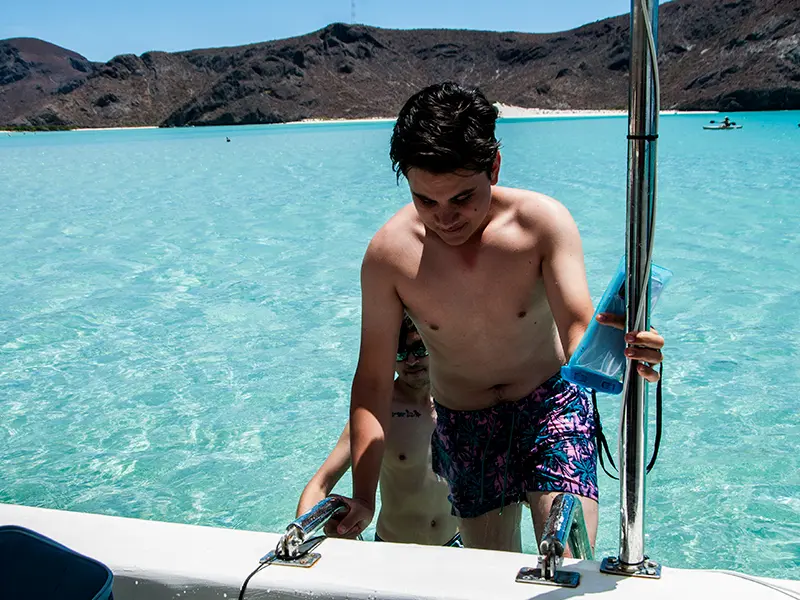 Tour Isla Espíritu Santo Colectivo baja vice
