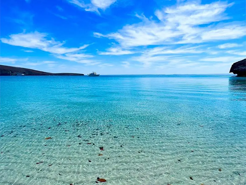 Tour Isla Espíritu Santo Colectivo baja vice