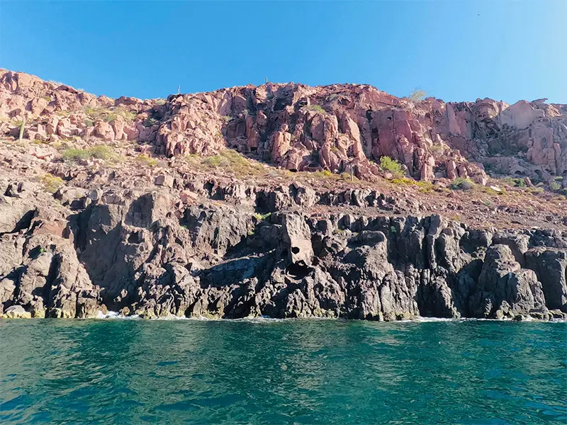 Tour Isla Espíritu Santo Colectivo baja vice