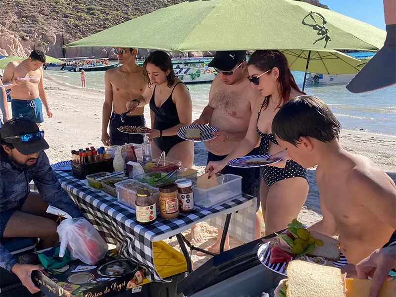 Tour Isla Espíritu Santo Colectivo baja vice