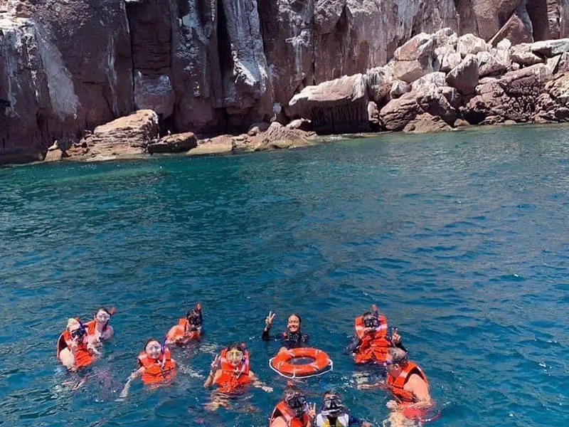 Tour Isla Espíritu Santo Colectivo baja vice