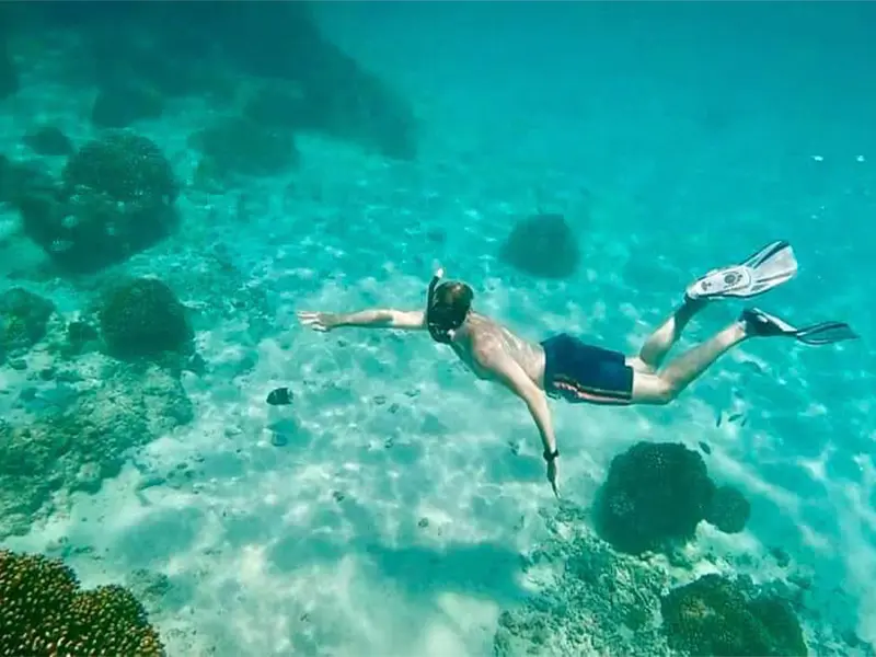 Tour Isla Espíritu Santo Colectivo baja vice