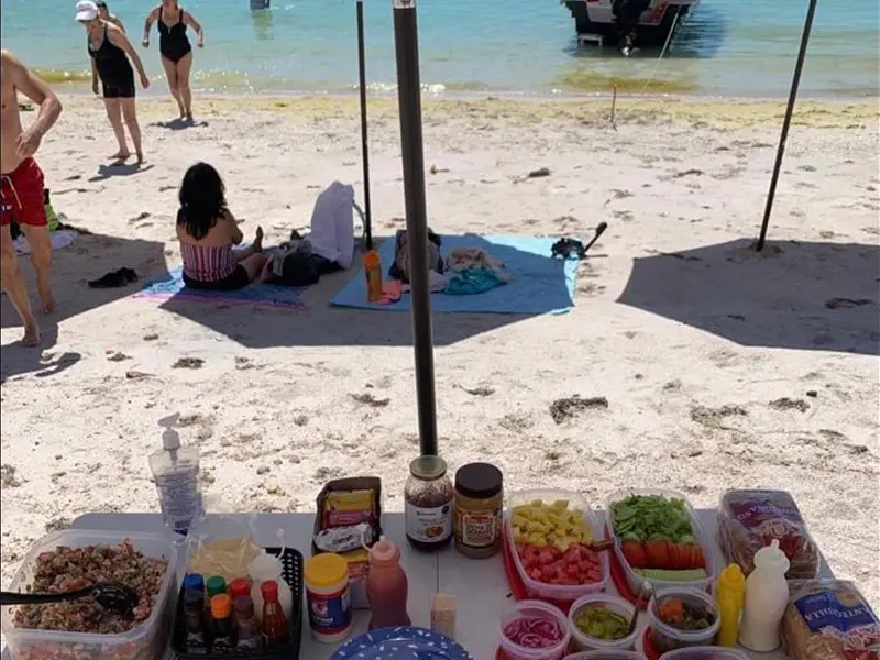 Tour Isla Espíritu Santo Colectivo baja vice