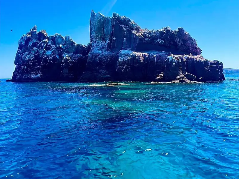 Tour Isla Espíritu Santo Colectivo baja vice