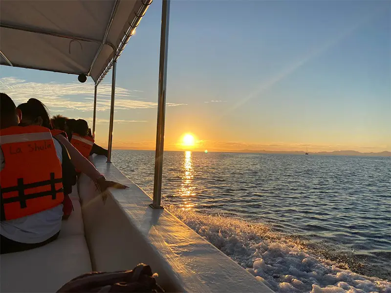 Tour Isla Espíritu Santo Colectivo baja vice